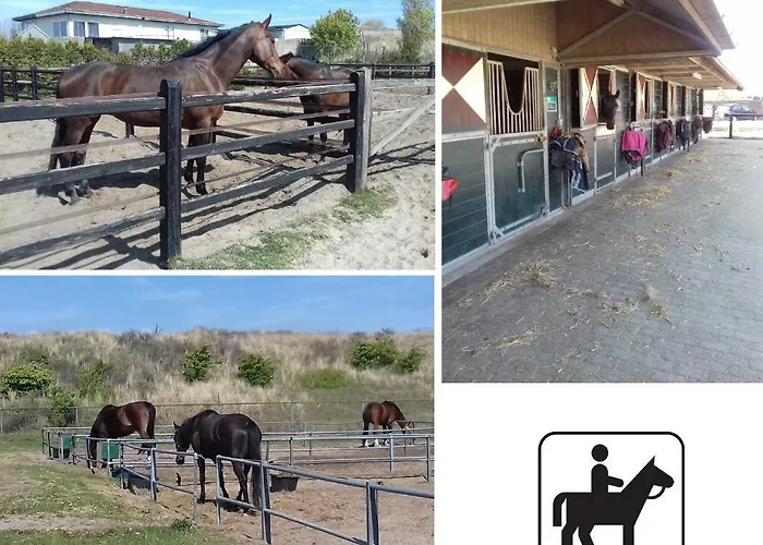 Benny's House 2 Appartamento