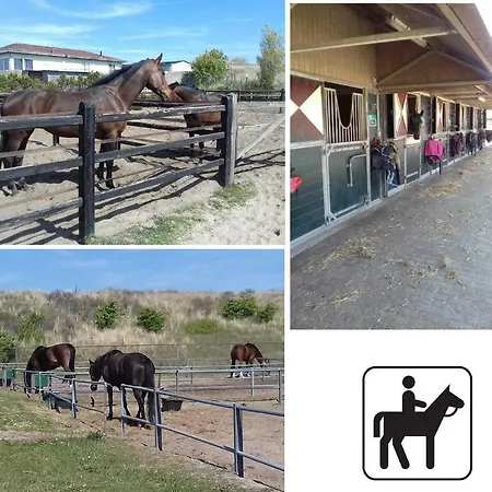 Benny's House 2 公寓